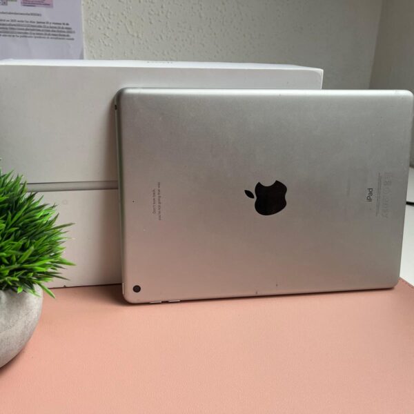 iPad (iPadOS 14.4.2)