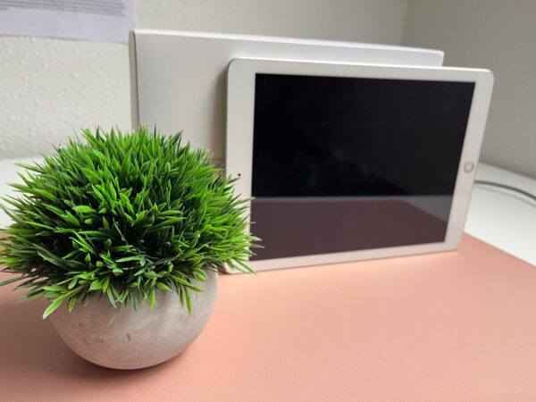 iPad (iPadOS 14.4.2)