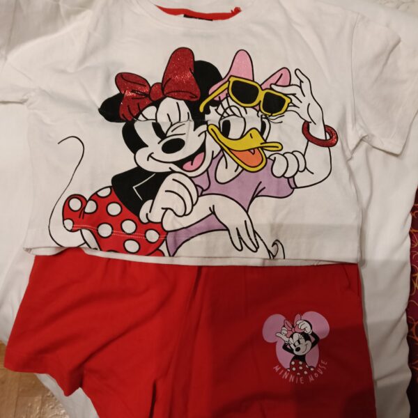 Conjunto disney