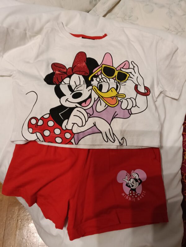 Conjunto disney