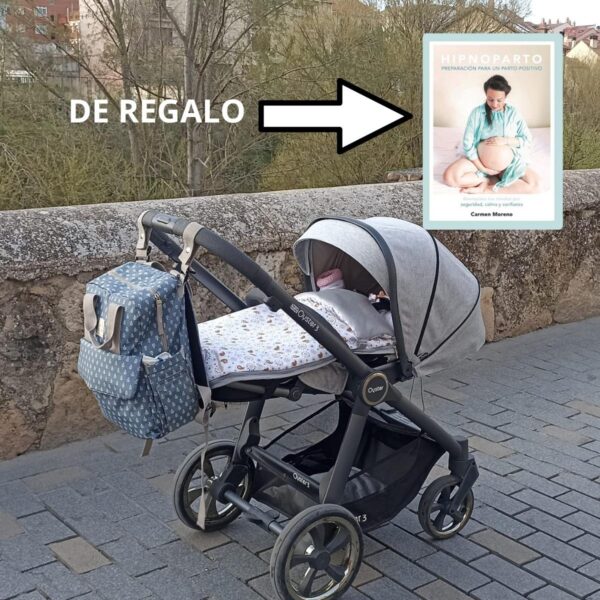 CARRO Y SILLA OYSTER