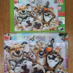 Puzzle 100p