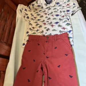 Conjunto de dinosaurios talla 8/9